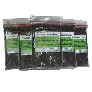 granulated seaweed extract